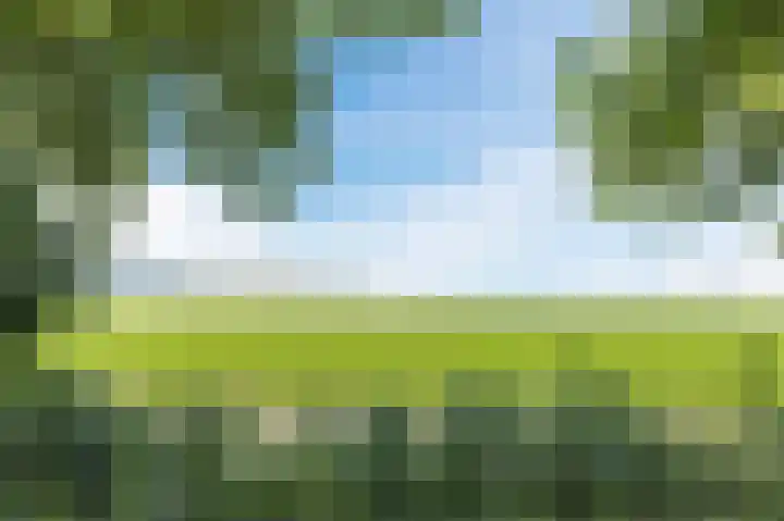 Groenendijk 56 Lage Zwaluwe thumbnail 42
