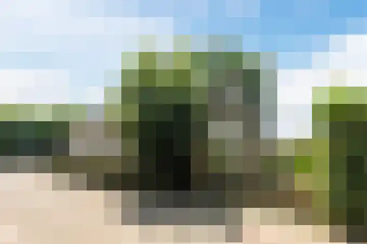 Groenendijk 56 Lage Zwaluwe thumbnail 6