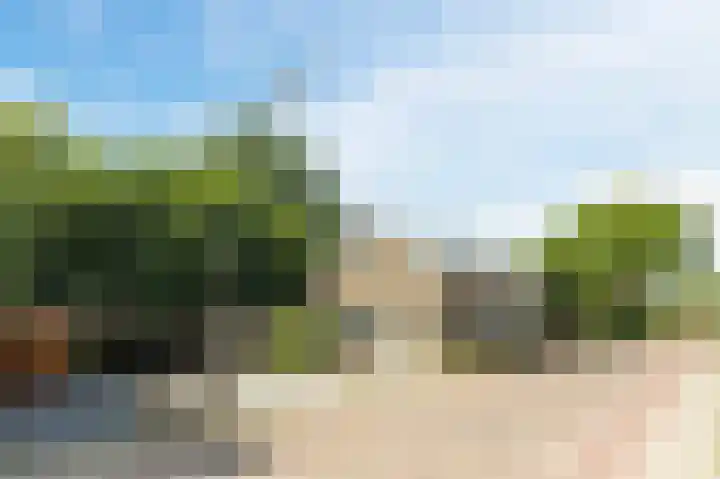 Groenendijk 56 Lage Zwaluwe thumbnail 7