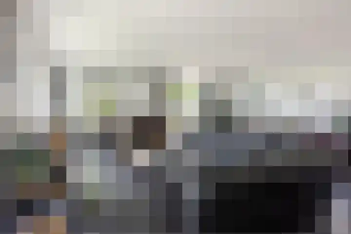Groenendijk 56 Lage Zwaluwe thumbnail 9
