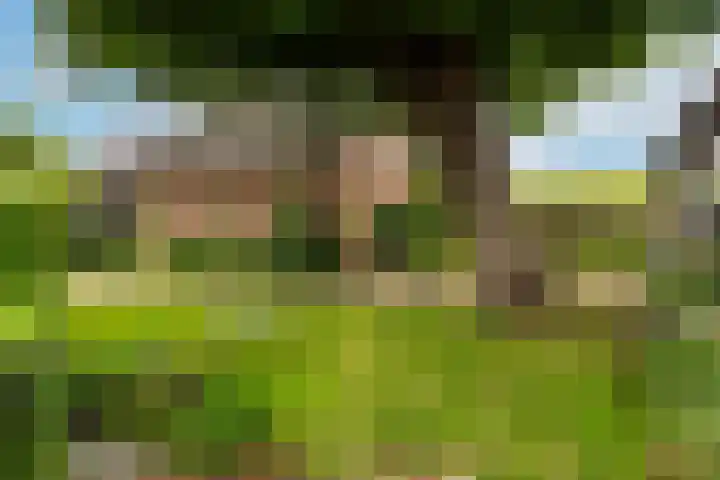 Groenendijk 6 Woudrichem thumbnail 22