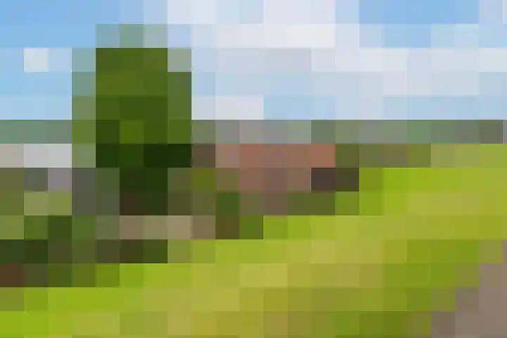 Groenendijk 6 Woudrichem thumbnail 23