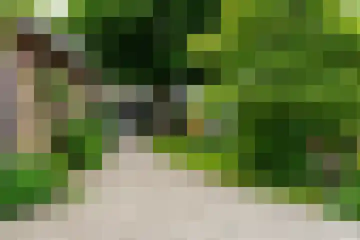 Groenendijk 6 Woudrichem thumbnail 24