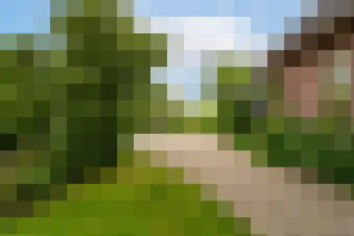 Groenendijk 6 Woudrichem thumbnail 25