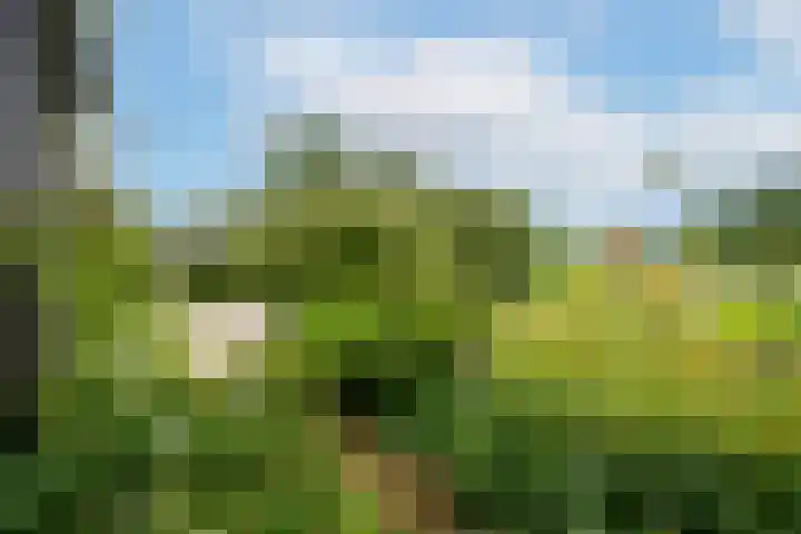 Groenendijk 6 Woudrichem thumbnail 26