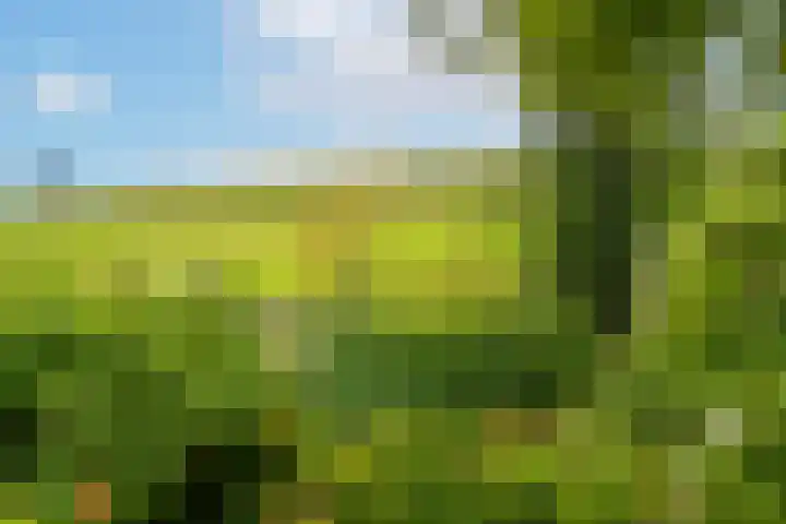 Groenendijk 6 Woudrichem thumbnail 27