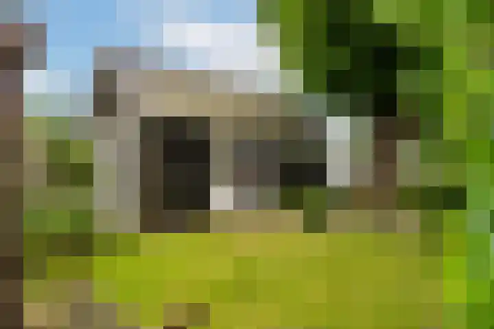 Groenendijk 6 Woudrichem thumbnail 29