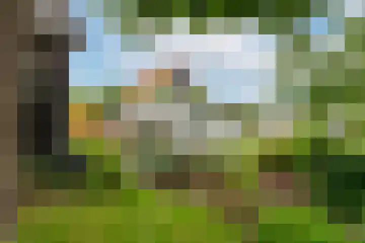 Groenendijk 6 Woudrichem thumbnail 30