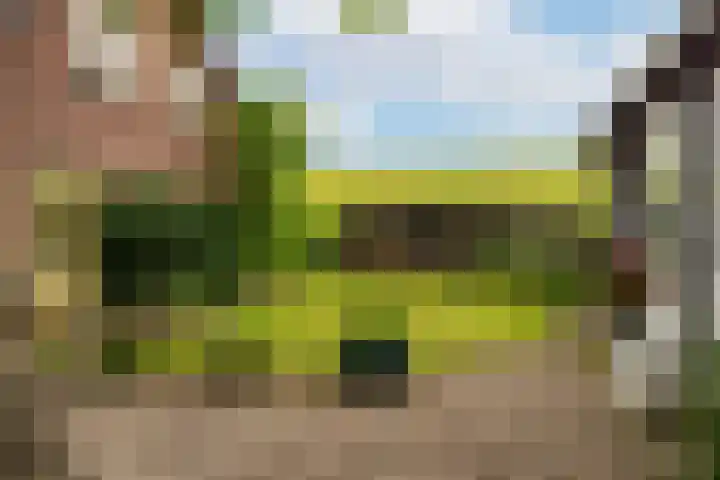 Groenendijk 6 Woudrichem thumbnail 31
