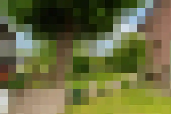 Groenendijk 6 Woudrichem thumbnail 32