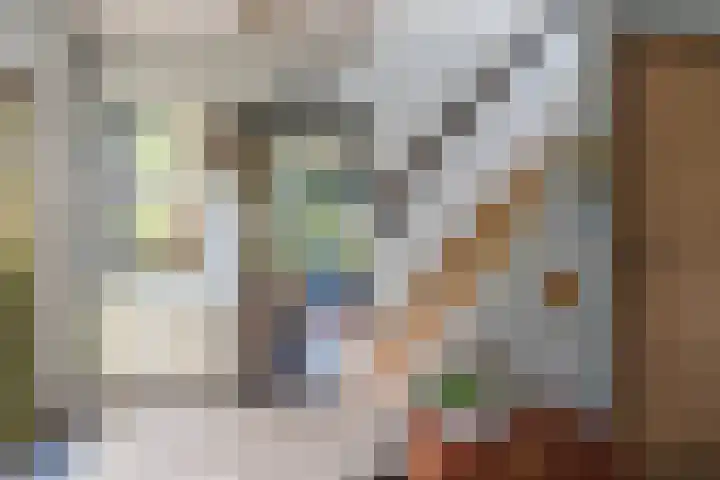 Groenendijk 6 Woudrichem thumbnail 5