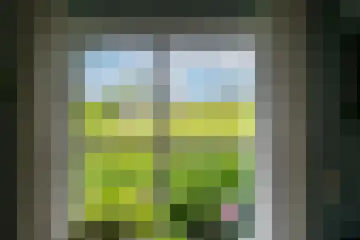 Groenendijk 6 Woudrichem thumbnail 7