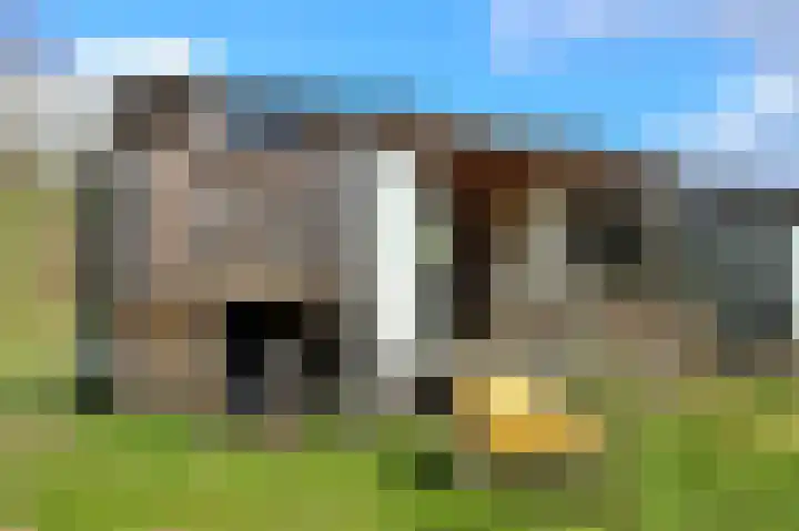 Groenendijk 64 Eindhoven thumbnail 18