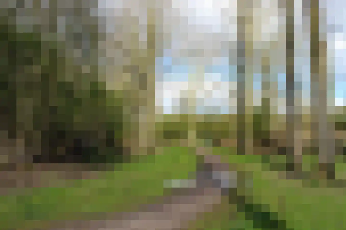 Groenendijk 64 Eindhoven thumbnail 27
