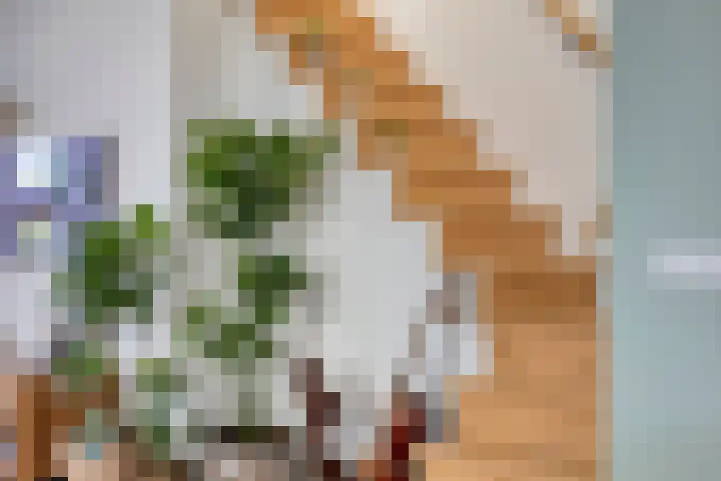 Groenendijk 68 Kloosterzande thumbnail 15