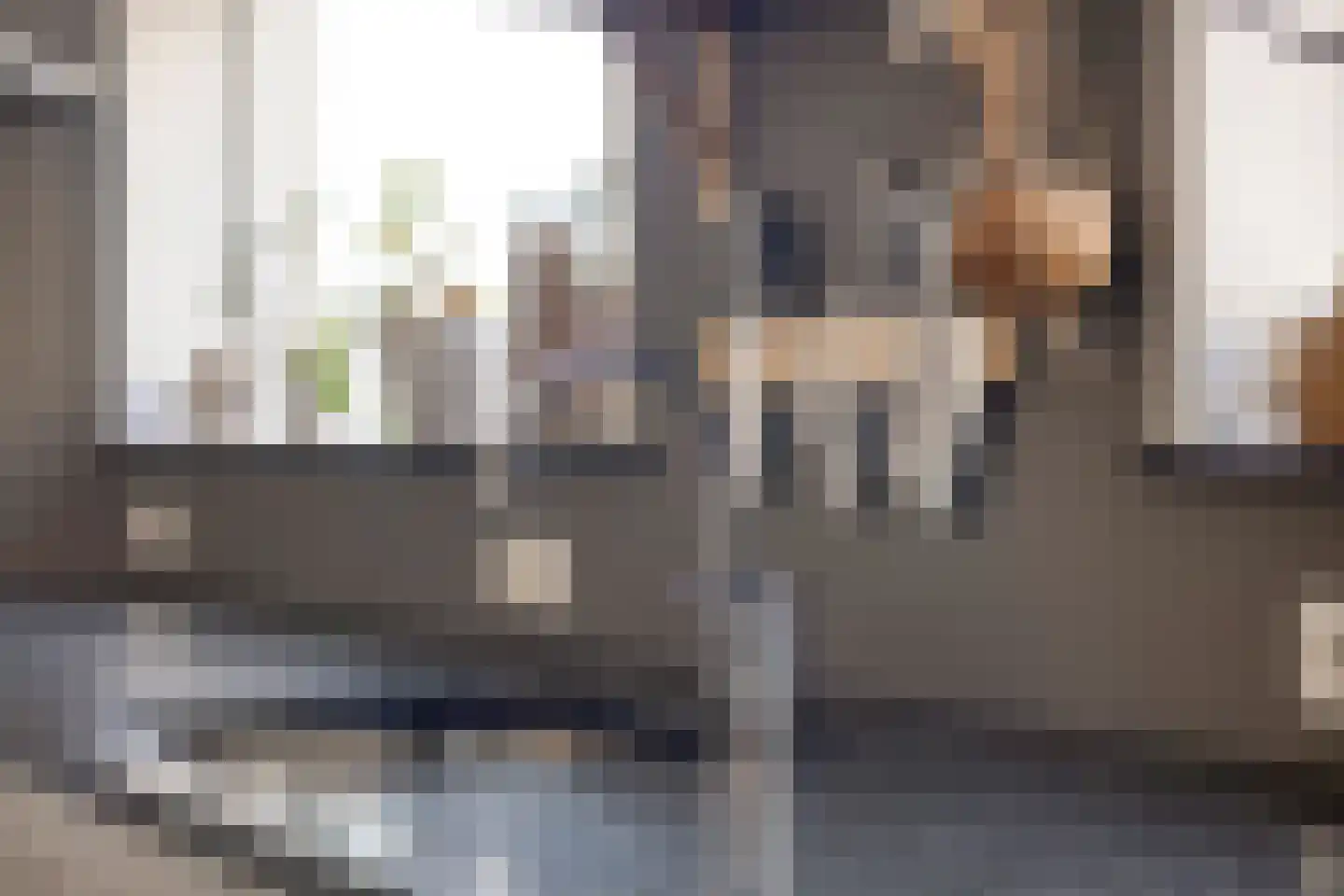 Groenendijk 68 Kloosterzande thumbnail 19