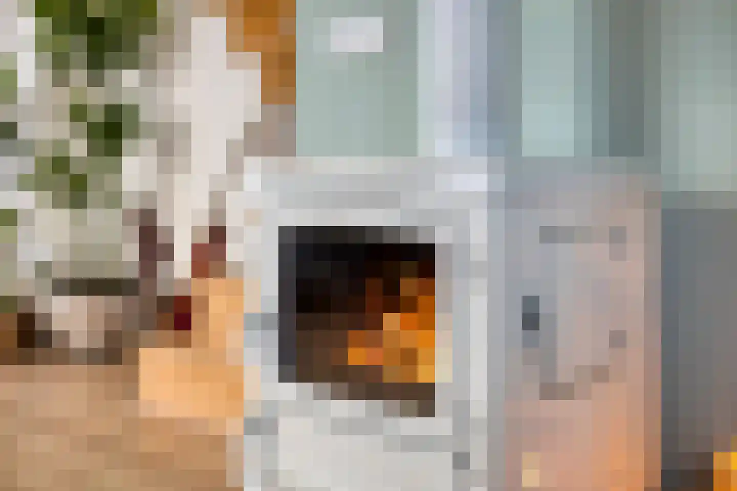 Groenendijk 68 Kloosterzande thumbnail 20