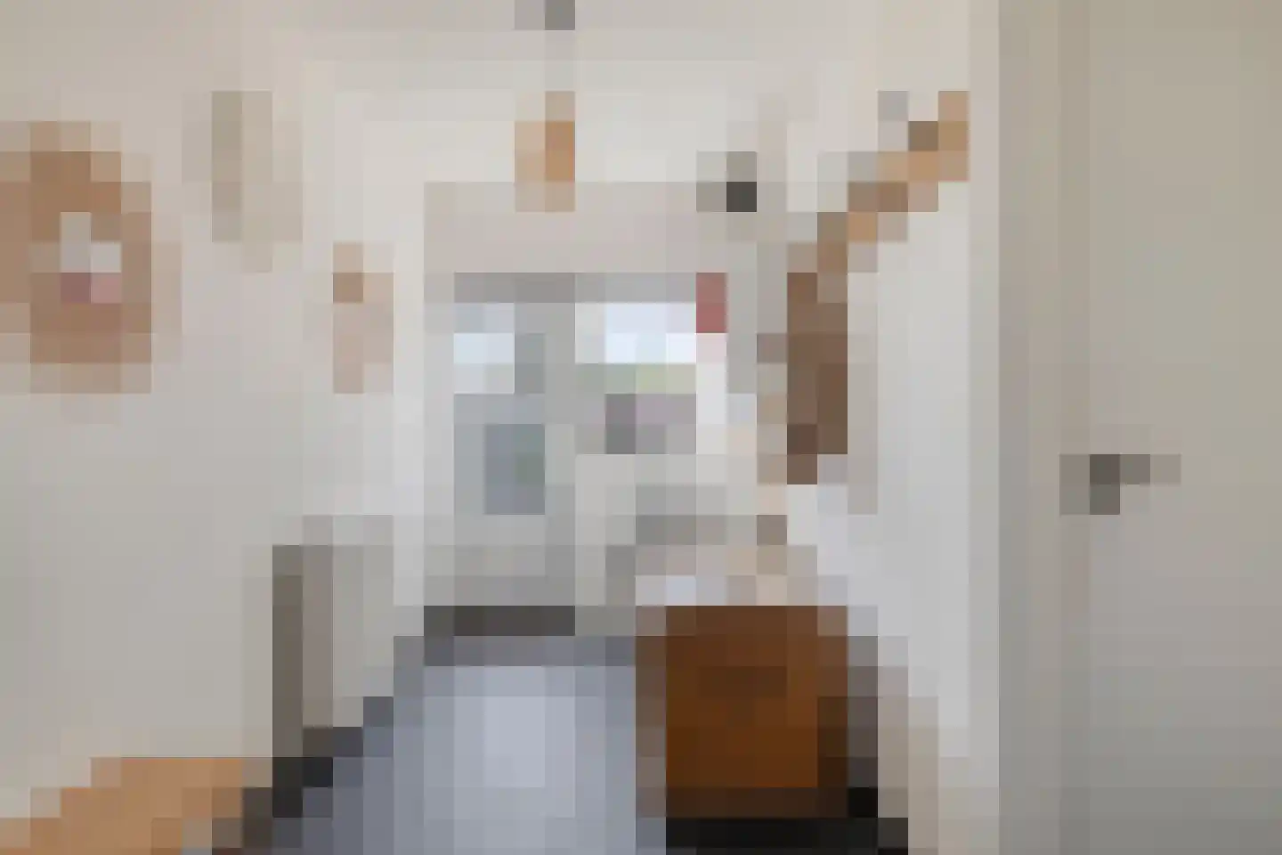 Groenendijk 68 Kloosterzande thumbnail 25