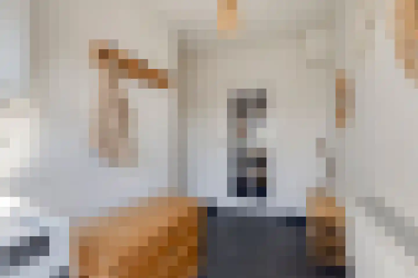 Groenendijk 68 Kloosterzande thumbnail 26