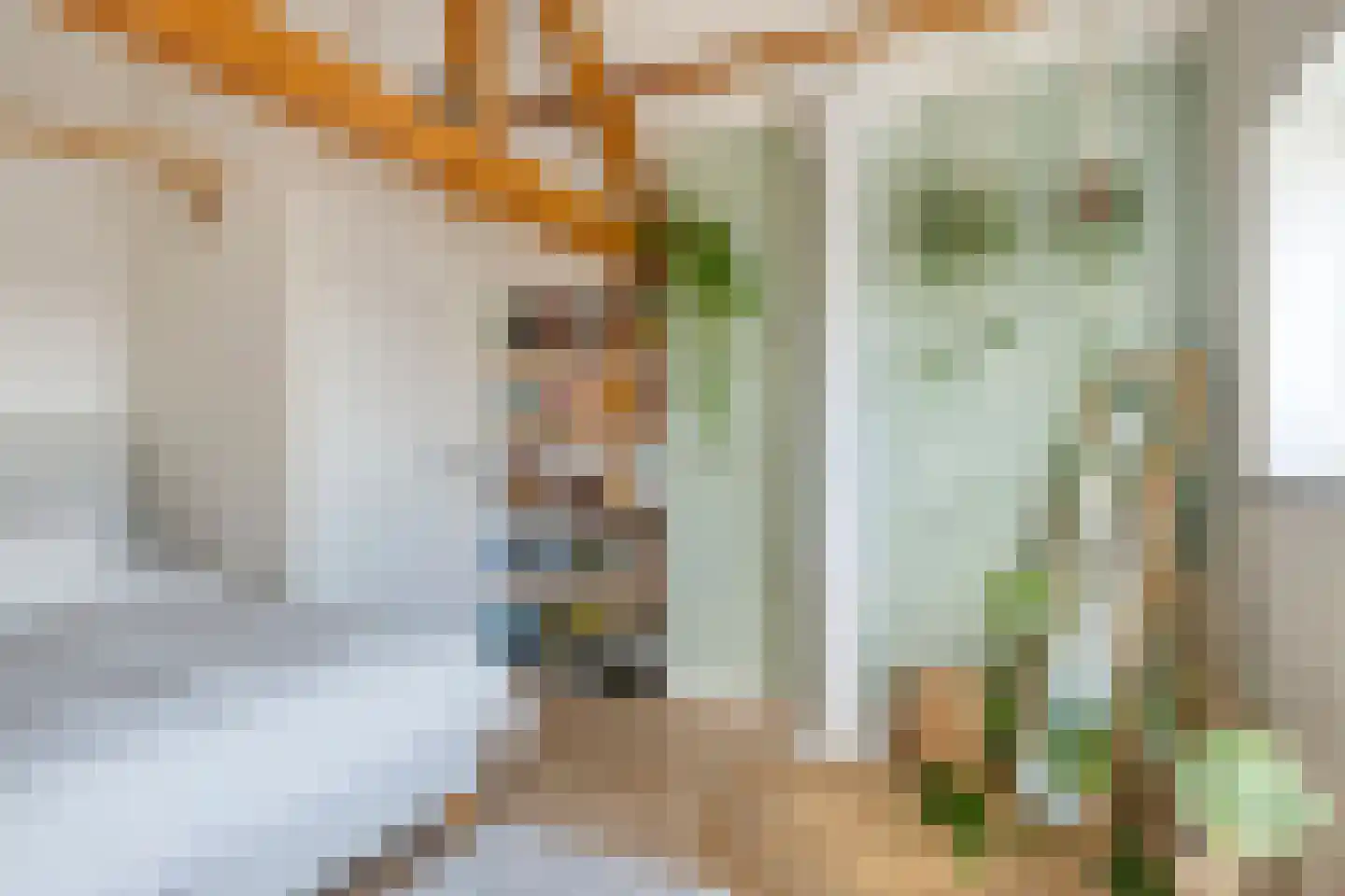 Groenendijk 68 Kloosterzande thumbnail 31