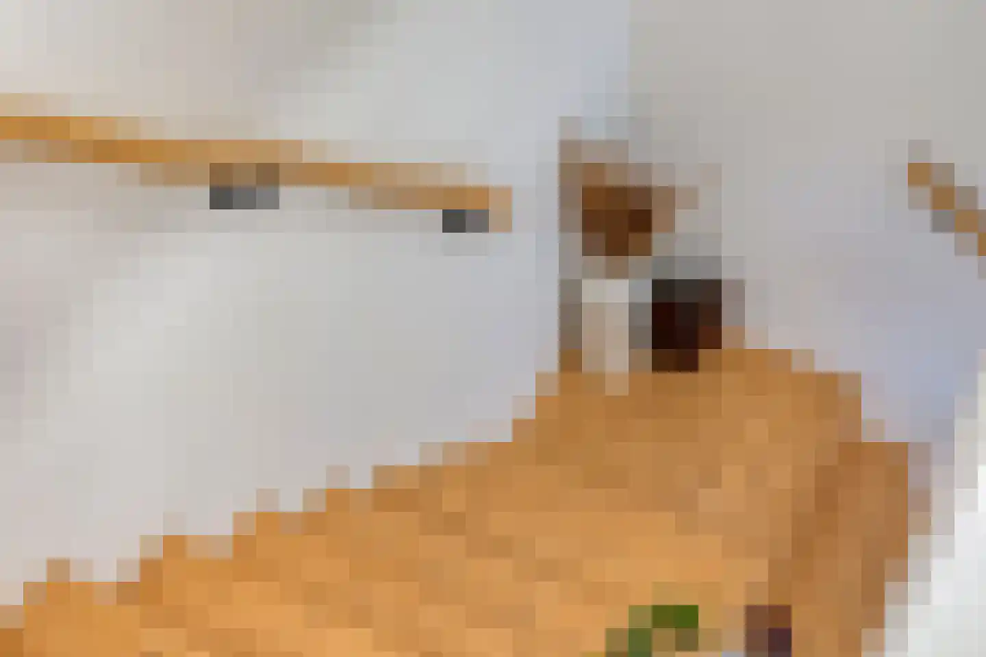 Groenendijk 68 Kloosterzande thumbnail 36