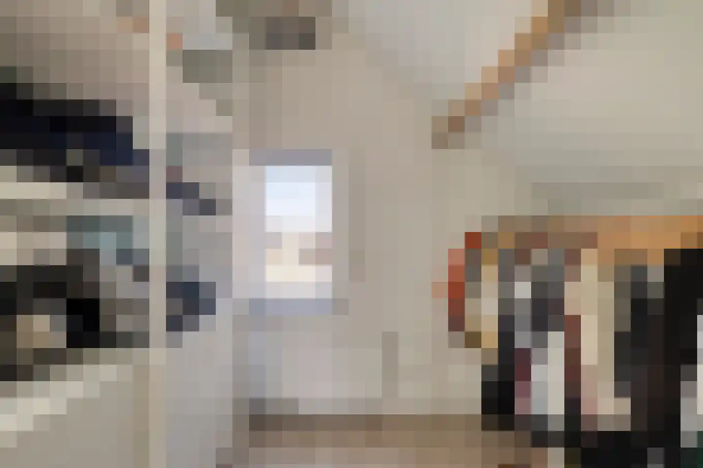 Groenendijk 68 Kloosterzande thumbnail 38