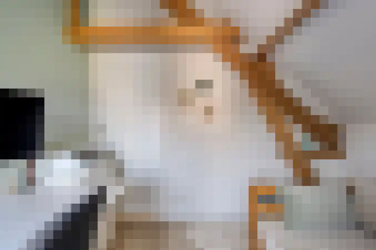 Groenendijk 68 Kloosterzande thumbnail 41