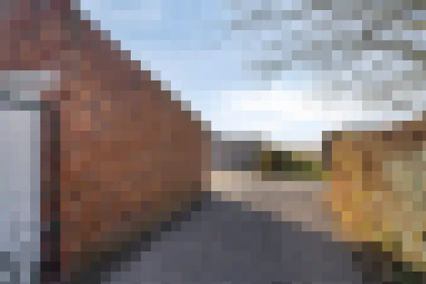 Groenendijk 68 Kloosterzande thumbnail 45