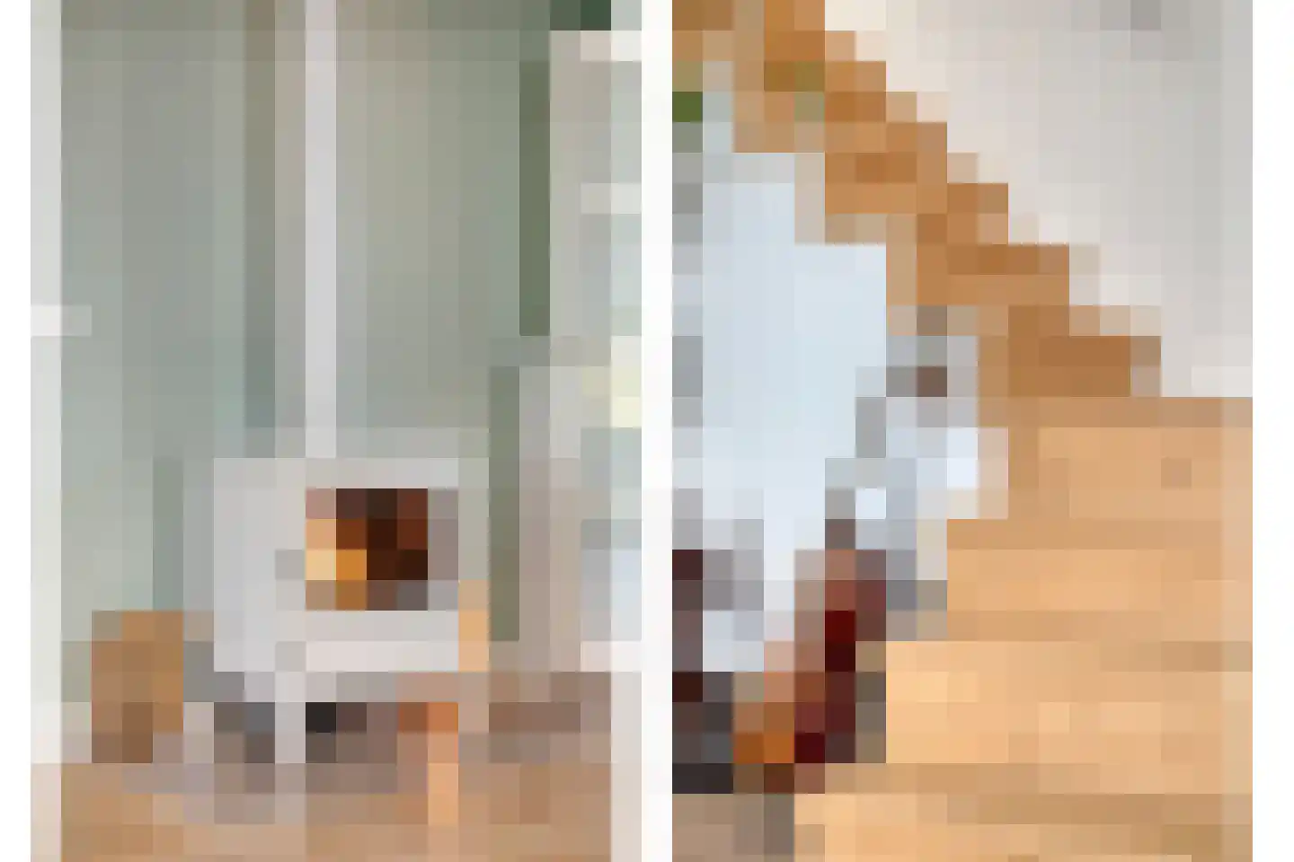 Groenendijk 68 Kloosterzande thumbnail 7