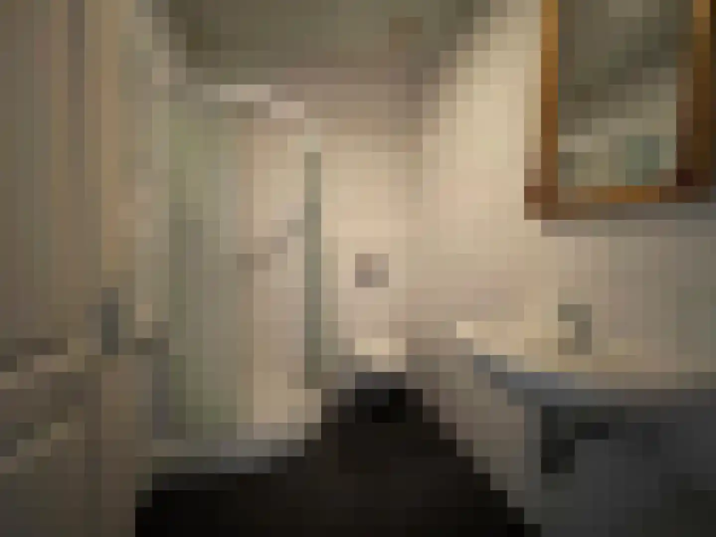 Groenendijk 7 Kloosterzande thumbnail 10