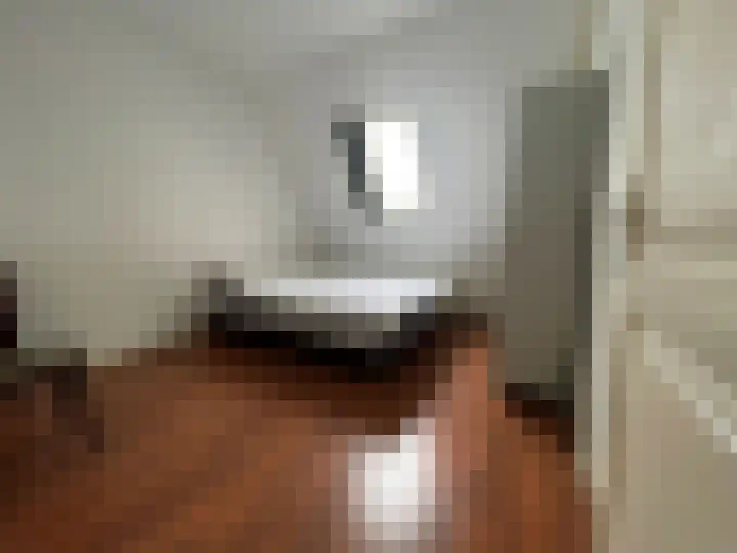 Groenendijk 7 Kloosterzande thumbnail 11