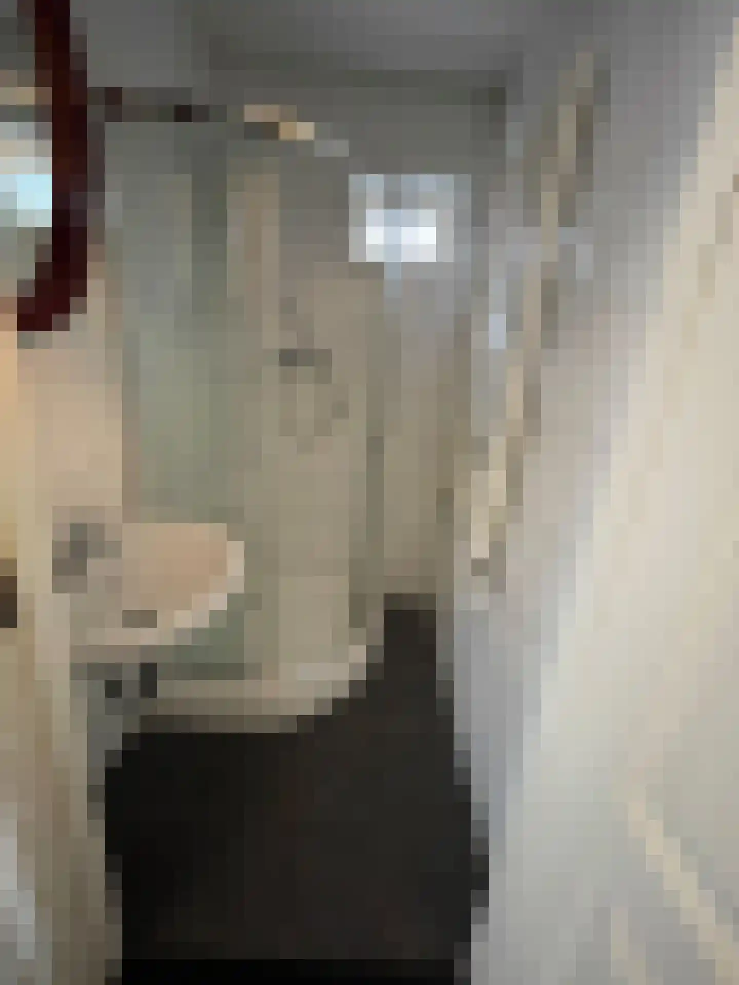 Groenendijk 7 Kloosterzande thumbnail 19