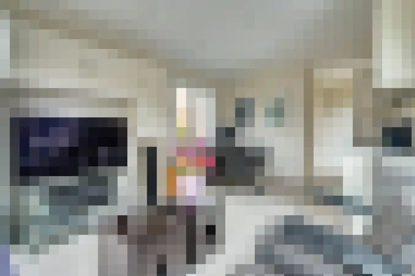 Groenendijk 70 Eindhoven thumbnail 8