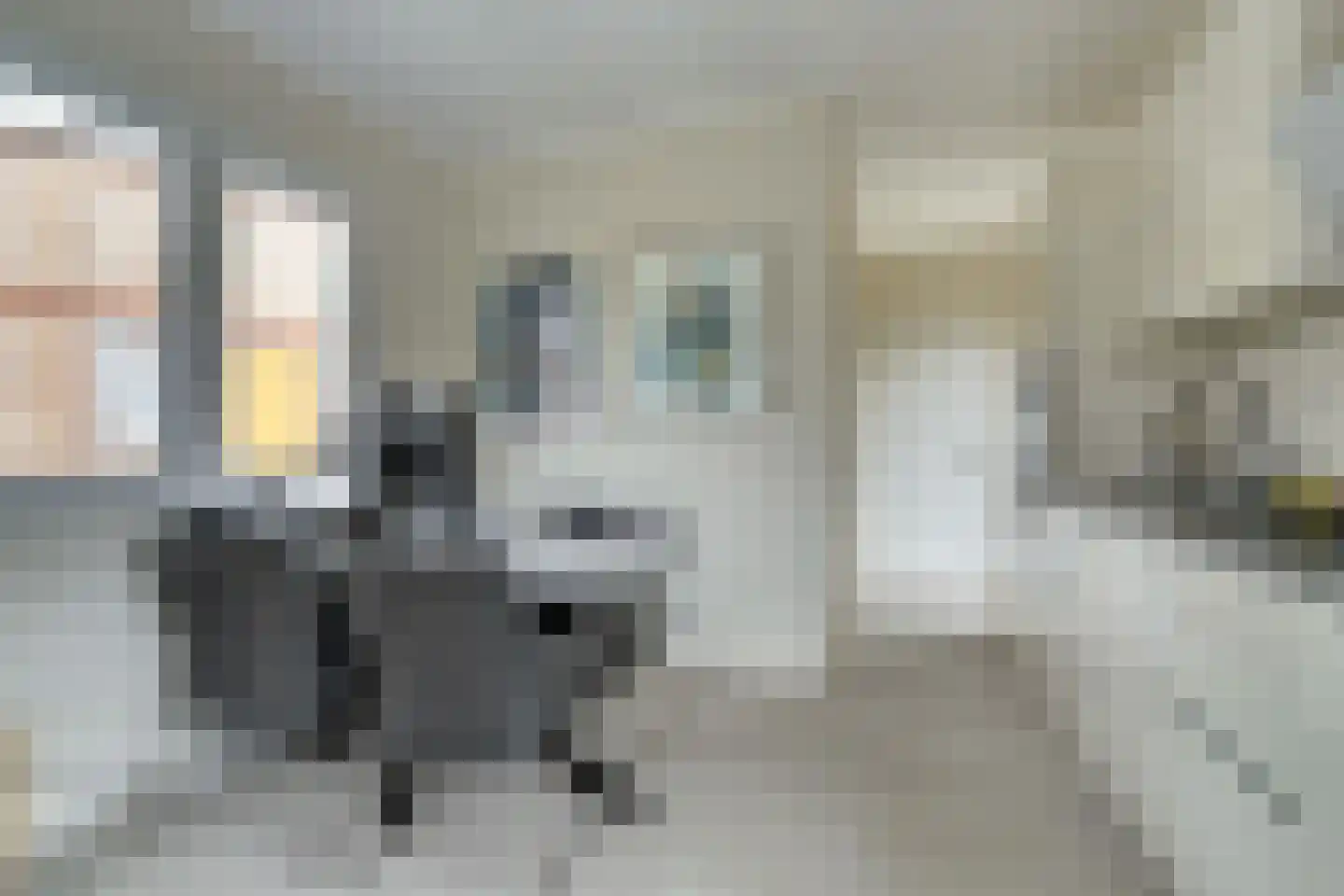 Groenendijk 70 Eindhoven thumbnail 9