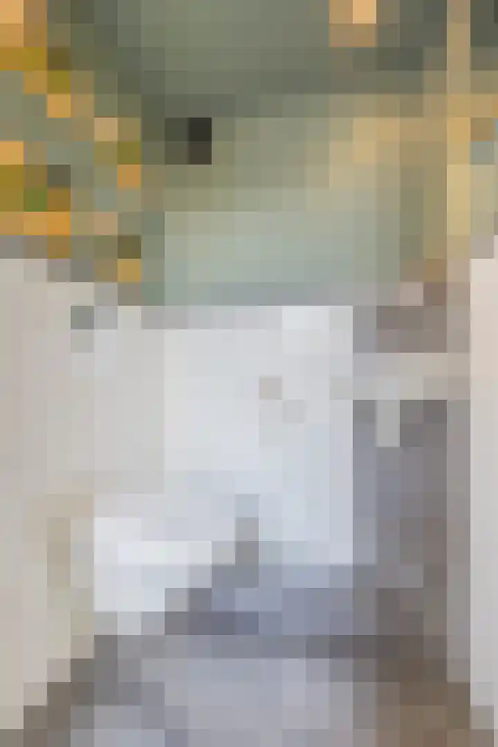 Groenendijk 8 Lage Zwaluwe thumbnail 11