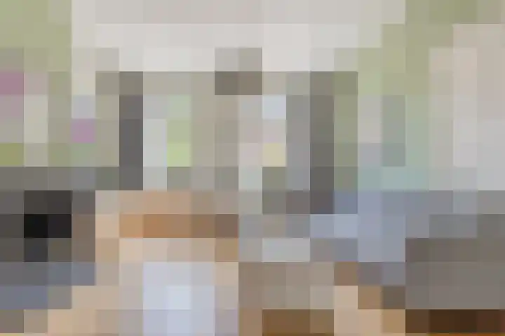 Groenendijk 8 Lage Zwaluwe thumbnail 12
