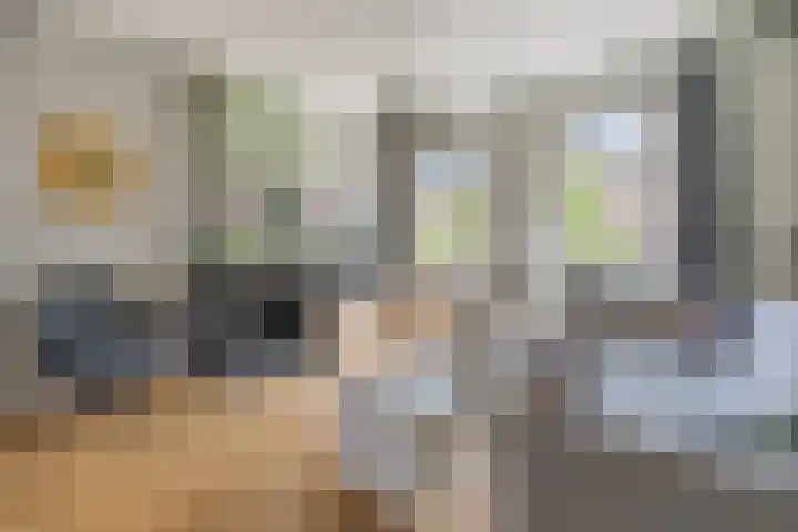 Groenendijk 8 Lage Zwaluwe thumbnail 13