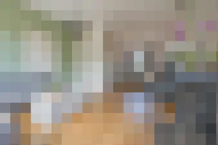 Groenendijk 8 Lage Zwaluwe thumbnail 16