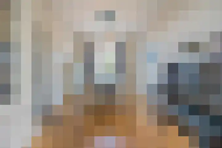 Groenendijk 8 Lage Zwaluwe thumbnail 17