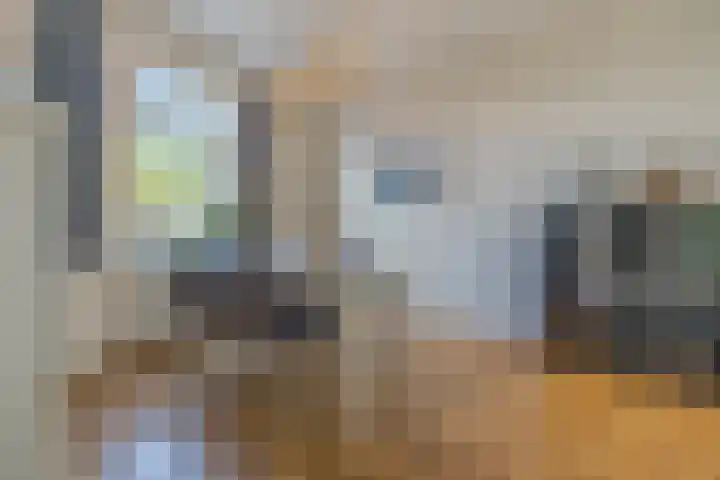 Groenendijk 8 Lage Zwaluwe thumbnail 18