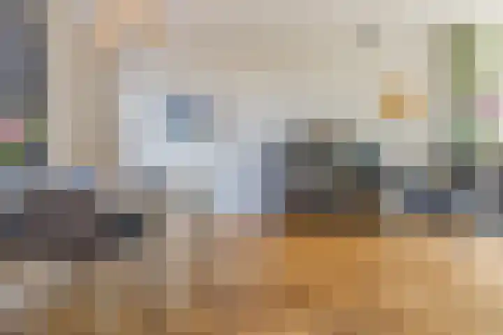 Groenendijk 8 Lage Zwaluwe thumbnail 19