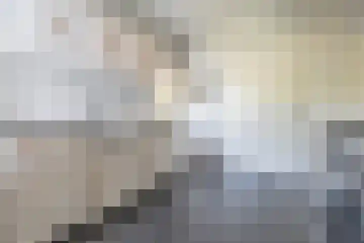 Groenendijk 8 Lage Zwaluwe thumbnail 22
