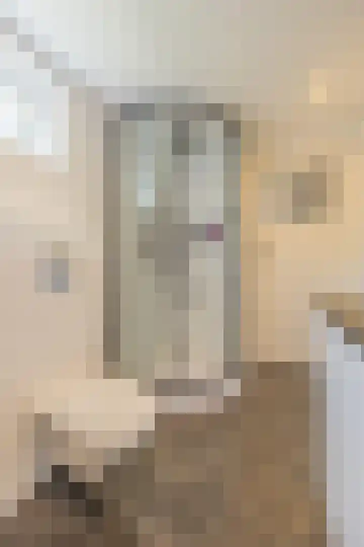 Groenendijk 8 Lage Zwaluwe thumbnail 25