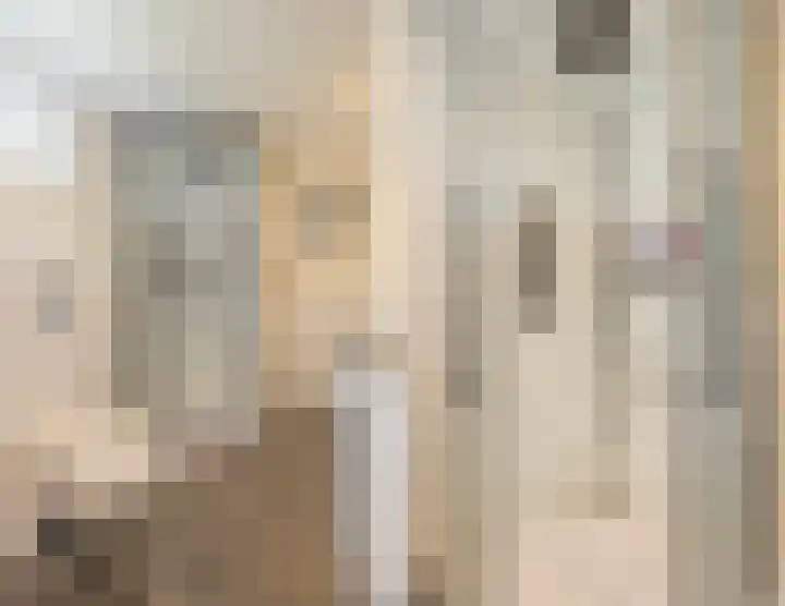 Groenendijk 8 Lage Zwaluwe thumbnail 27