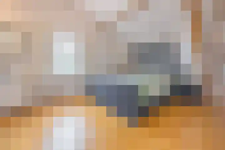 Groenendijk 8 Lage Zwaluwe thumbnail 29