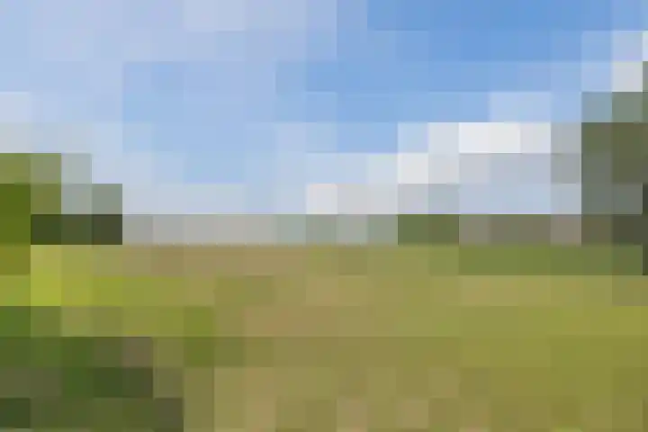 Groenendijk 8 Lage Zwaluwe foto 3