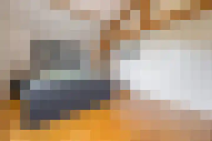 Groenendijk 8 Lage Zwaluwe thumbnail 30