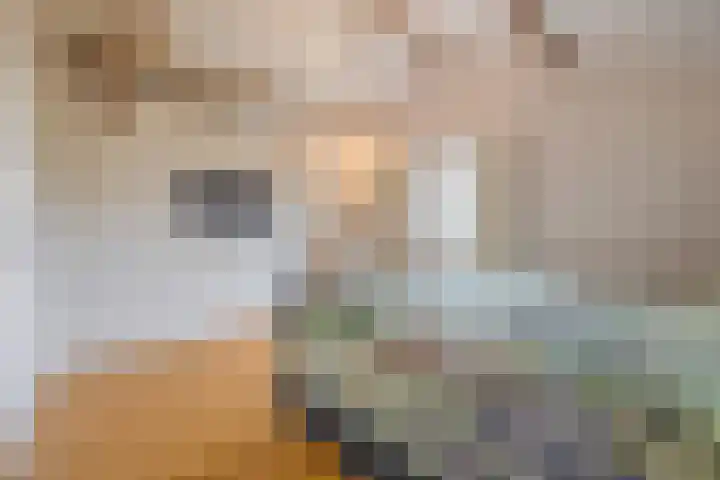 Groenendijk 8 Lage Zwaluwe thumbnail 31