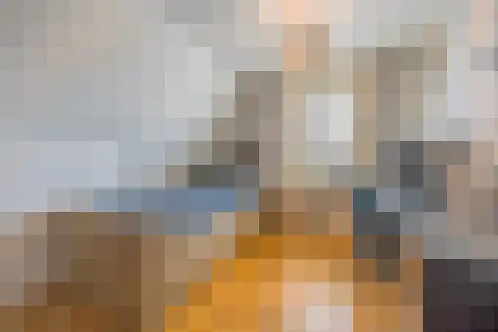 Groenendijk 8 Lage Zwaluwe thumbnail 32