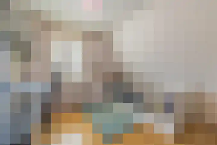 Groenendijk 8 Lage Zwaluwe thumbnail 35